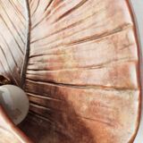 Mid-Century ceramic earthenware sconce, palm leaf shaped