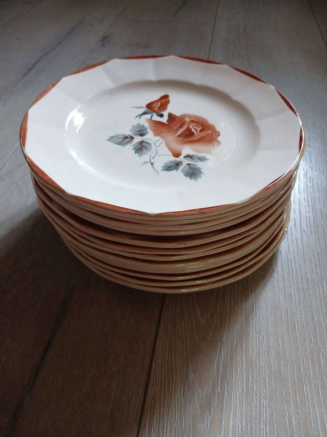 25 old Digoin and Sarreguemines plates