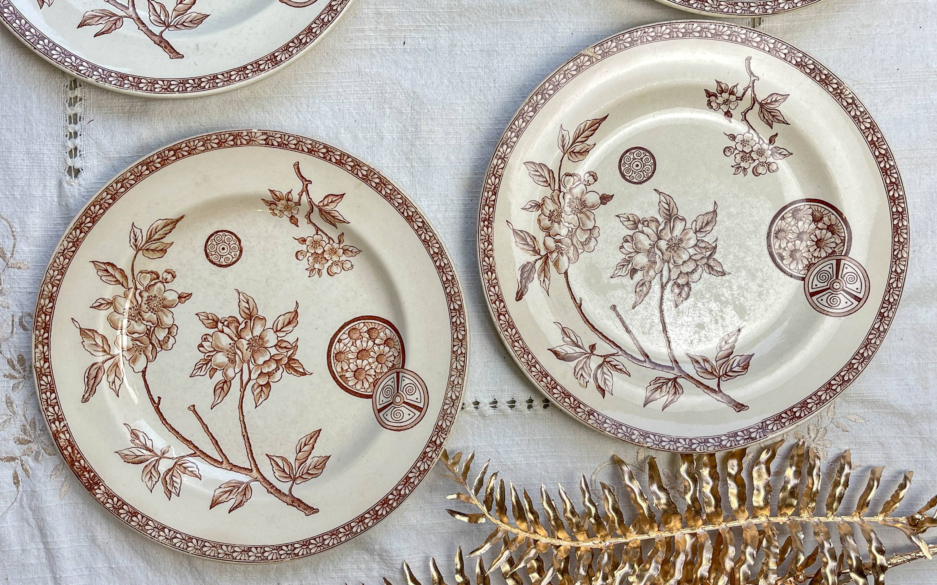 5 large old plates in brown ironstone - Grand Dépôt Paris