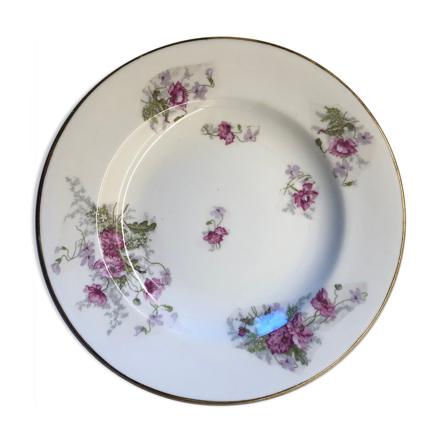 6 hollow plates, old with gold net, Limoges porcelain, signed