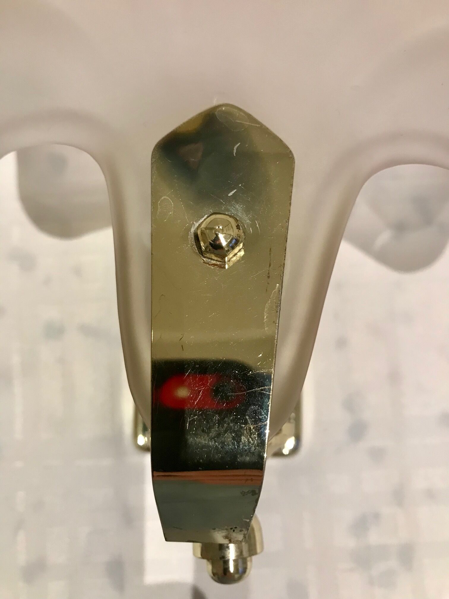 Pair of shell sconces