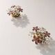 Murano flower wall sconces