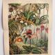 Gravure botanique de 1909 - Orchidée - Planche allemande ancienne