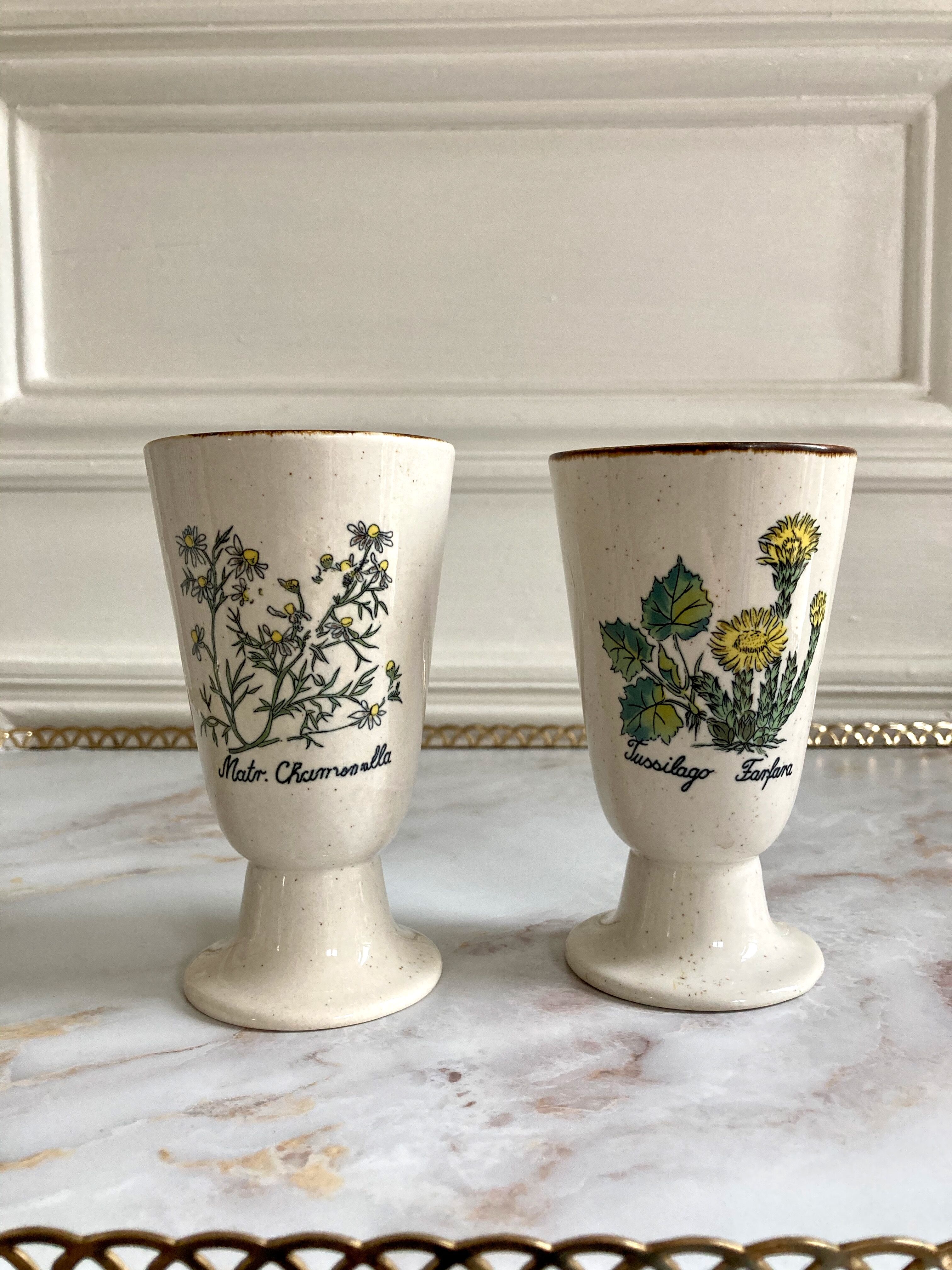 Paire de mazagrans tasses herbier