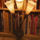 Pair of arum sconces edition Lunel Paris 50s