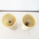 Pair of vintage alabaster lamps 1960