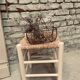 Tabouret bois et paille