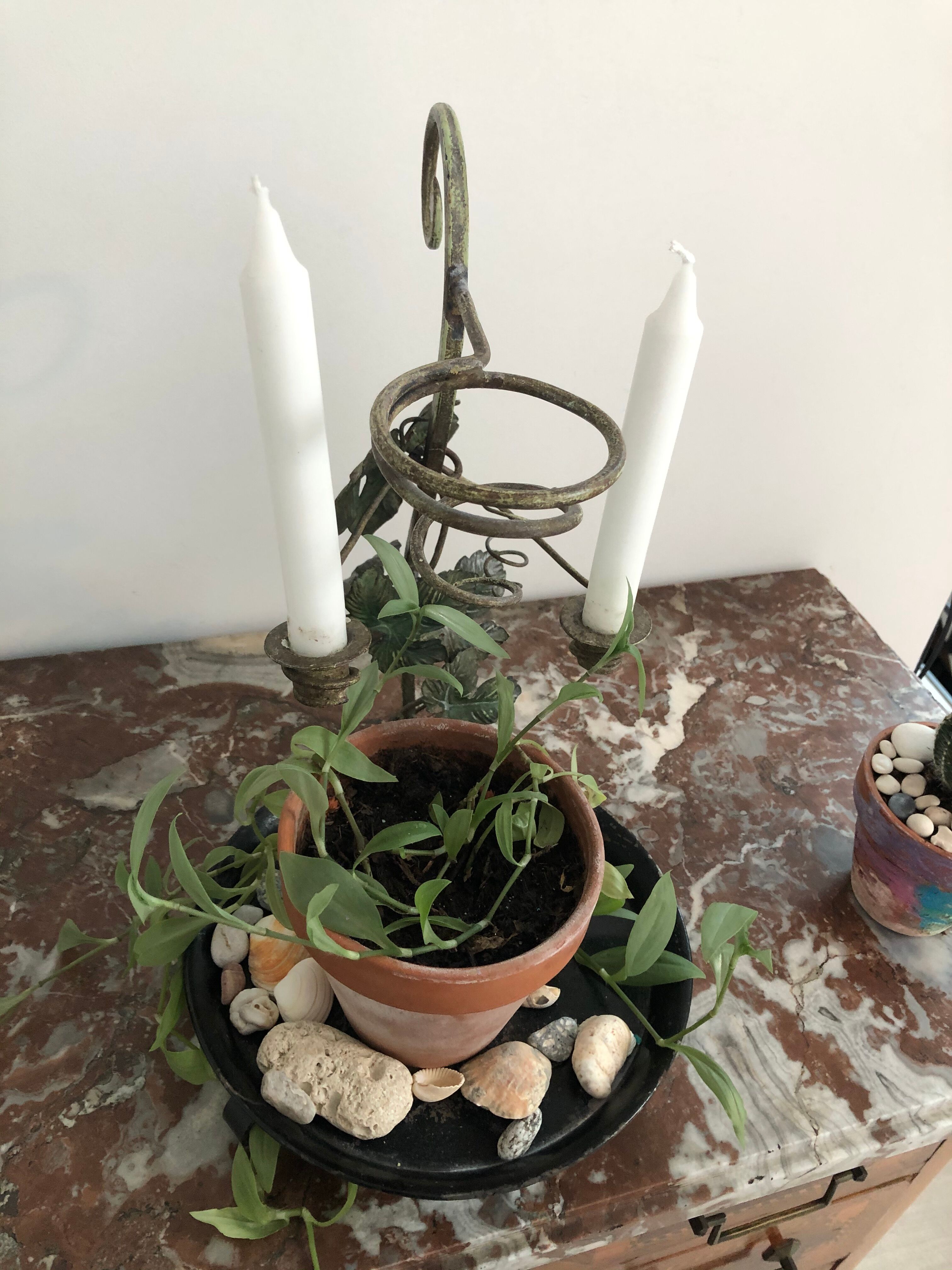 Display of plants and candlesticks in metal - leaves and grapes - French creation