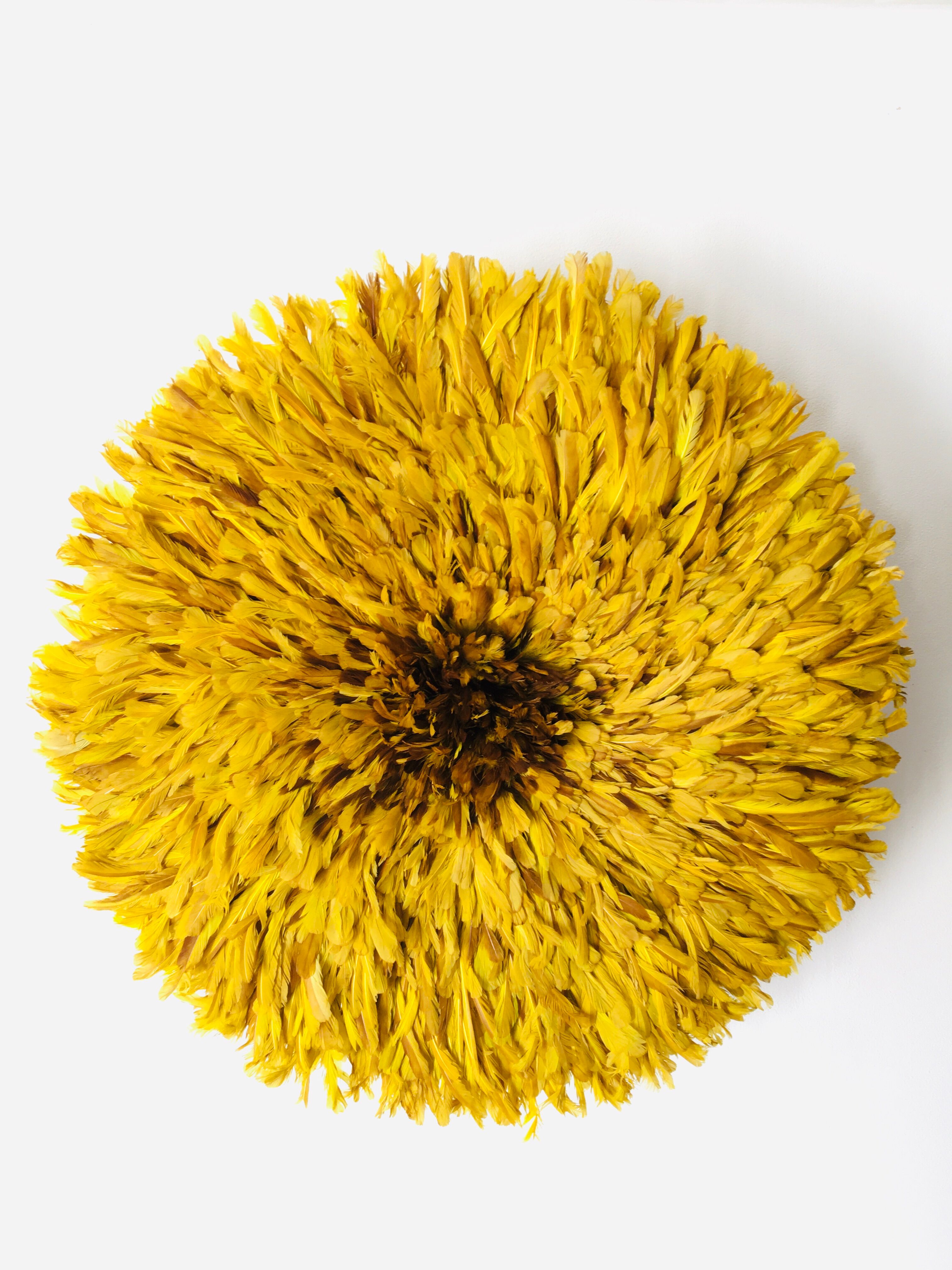 Yellow Jujuhat 80 cm