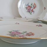 Set of 5 Limoges enameled porcelain plates