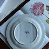 Asparagus barbotine plate