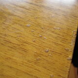 Vintage coffee table from Wilhelm Renz