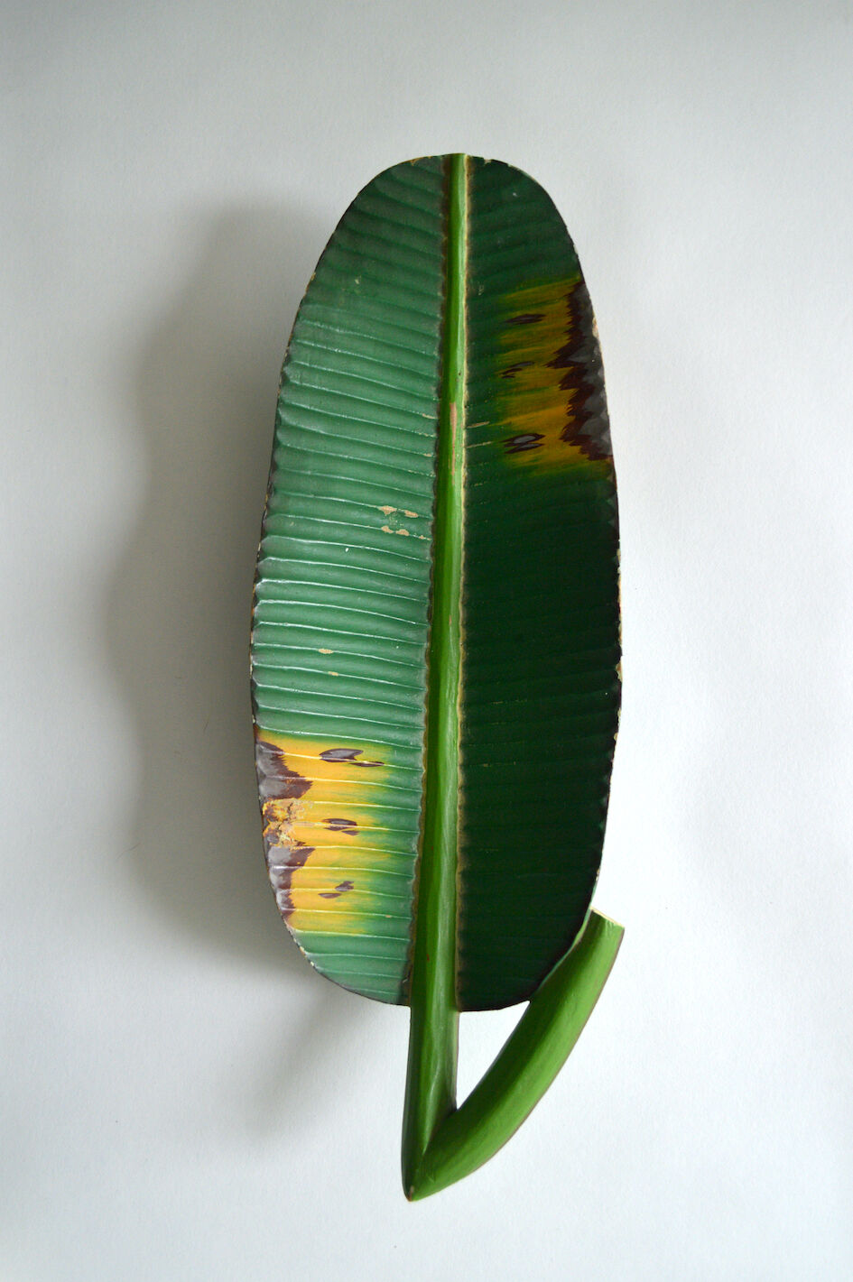 Polynesian wooden top