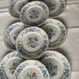 Villeroy and Boch Delia dinner plates