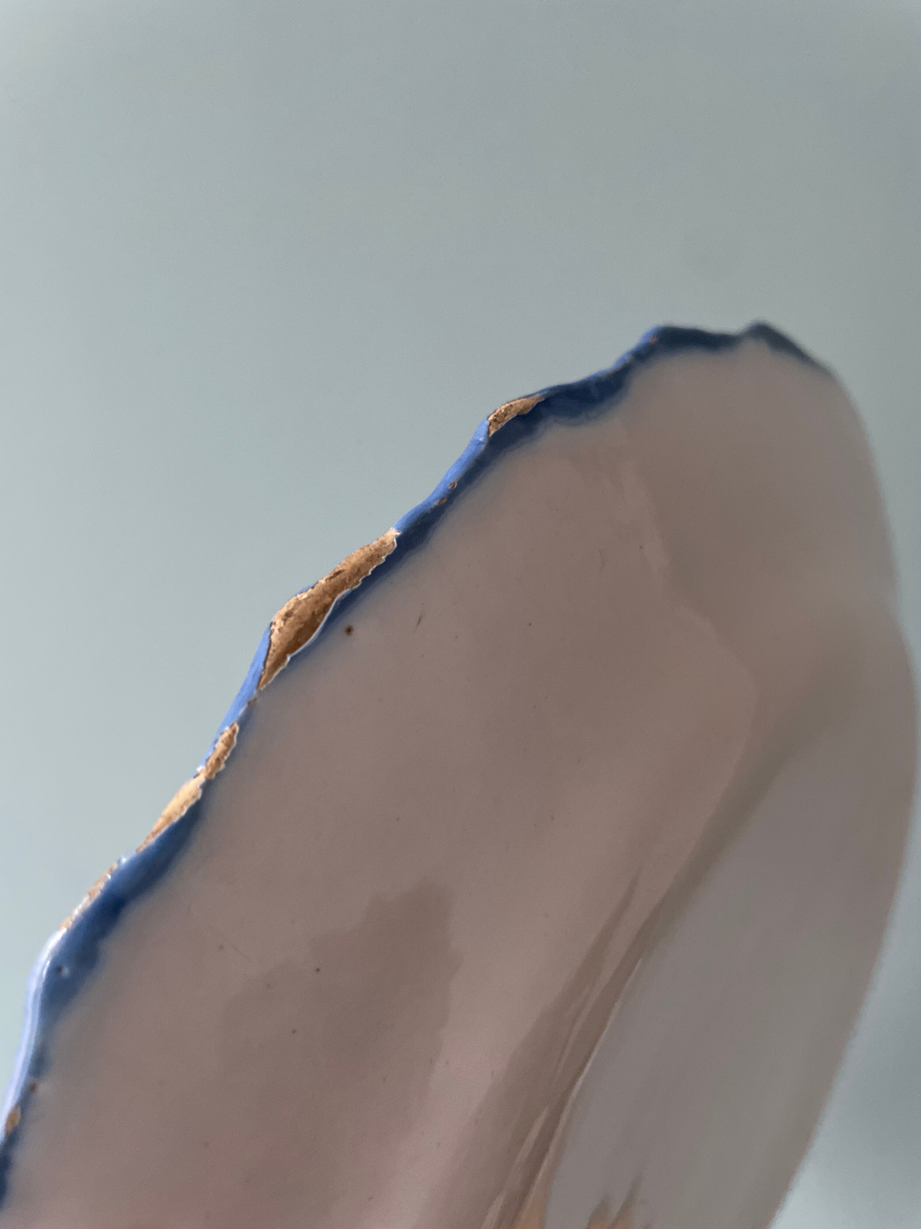 Set of 4 flat plates XIXth polka dots