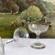 2 antique champagne glasses in engraved glass