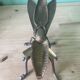 Vintage brass fly/cicada ashtray (17 cm) – Art wings