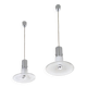Pair of Murano Glass Pendants attr. to Alessandro Pianon for Vistosi