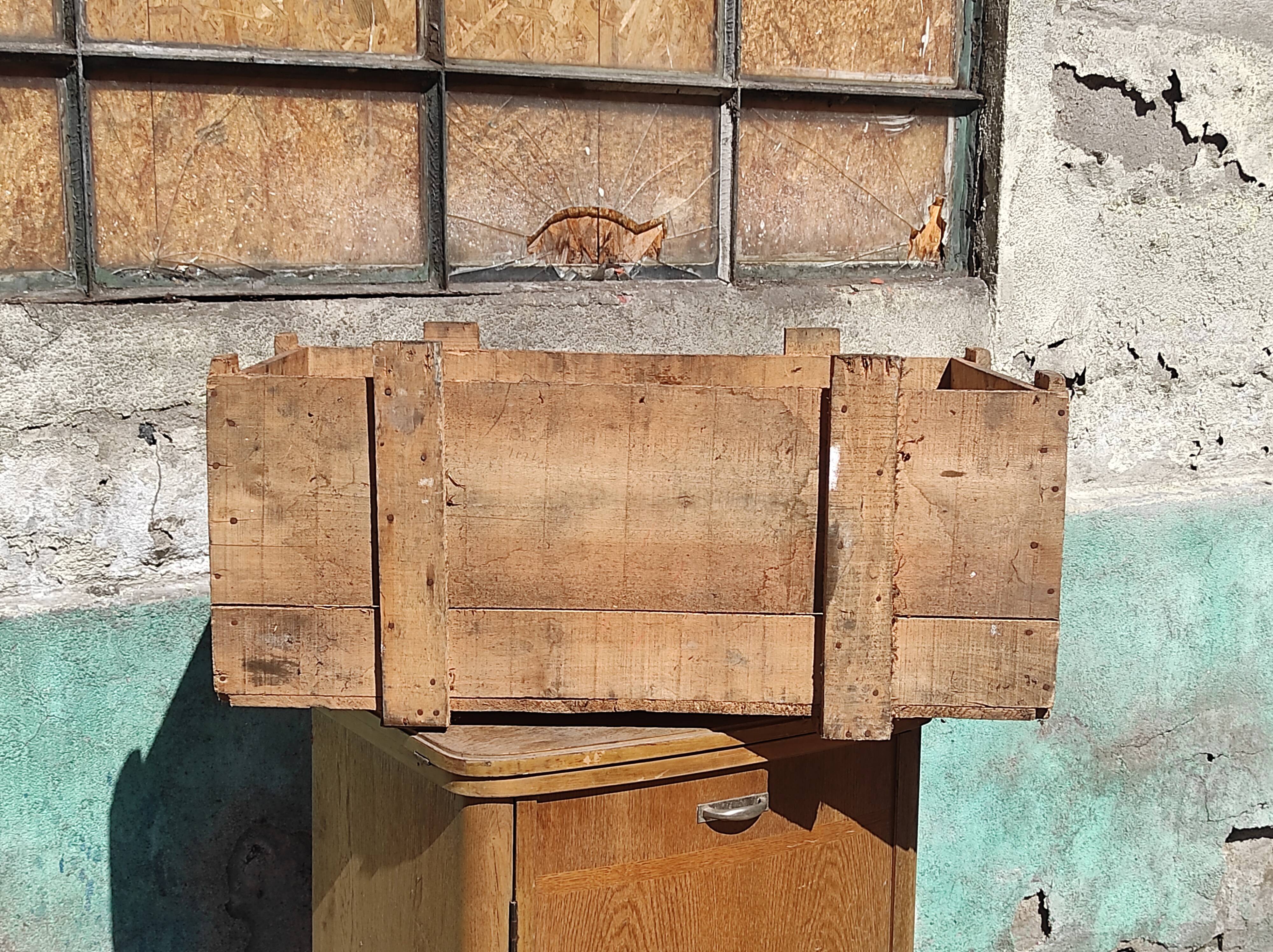 Industrial box in raw fir wood shipping SNCF bicycle equipment Necto 50s 1950s