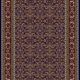 Patterned oriental home rug