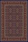 Patterned oriental home rug