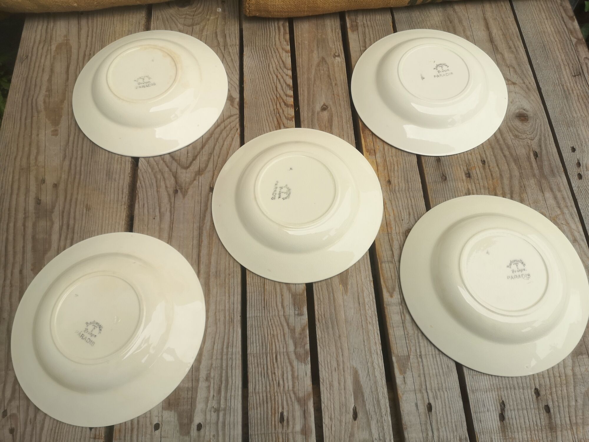 Set of 5 hollow plates signed Badonviller Collection Paradise bird décor