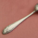 Set of 6 teaspoons in silver metal.