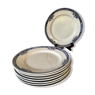 Lot of 8 plates Longchamp Lily, iron earth