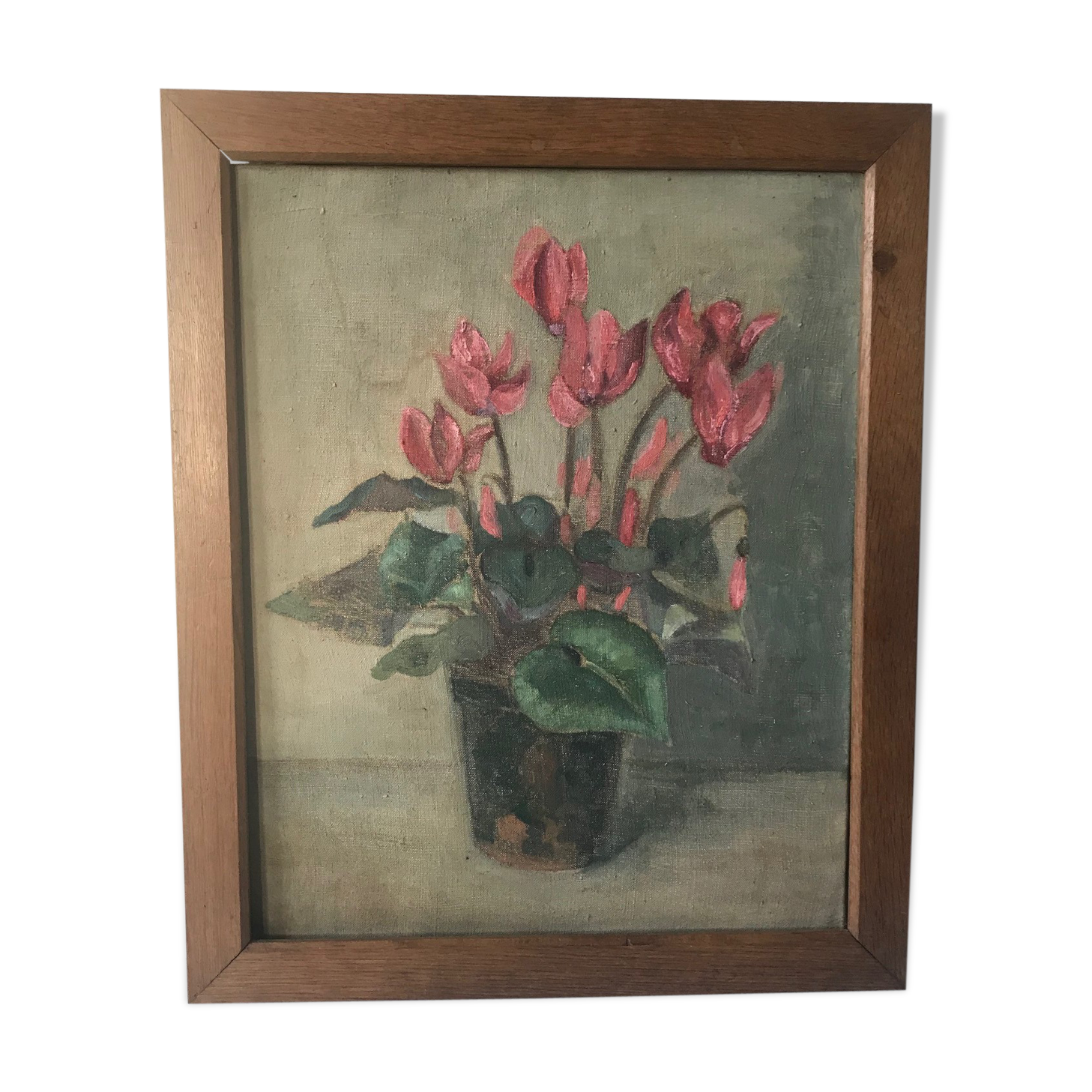 cyclamen charm painting