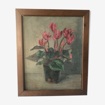 Tableau cyclamen charme