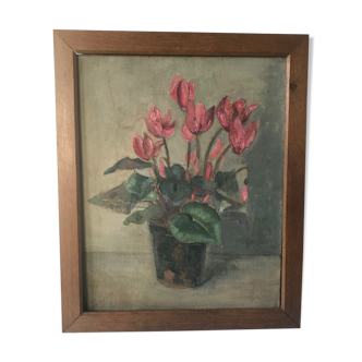 Tableau cyclamen charme