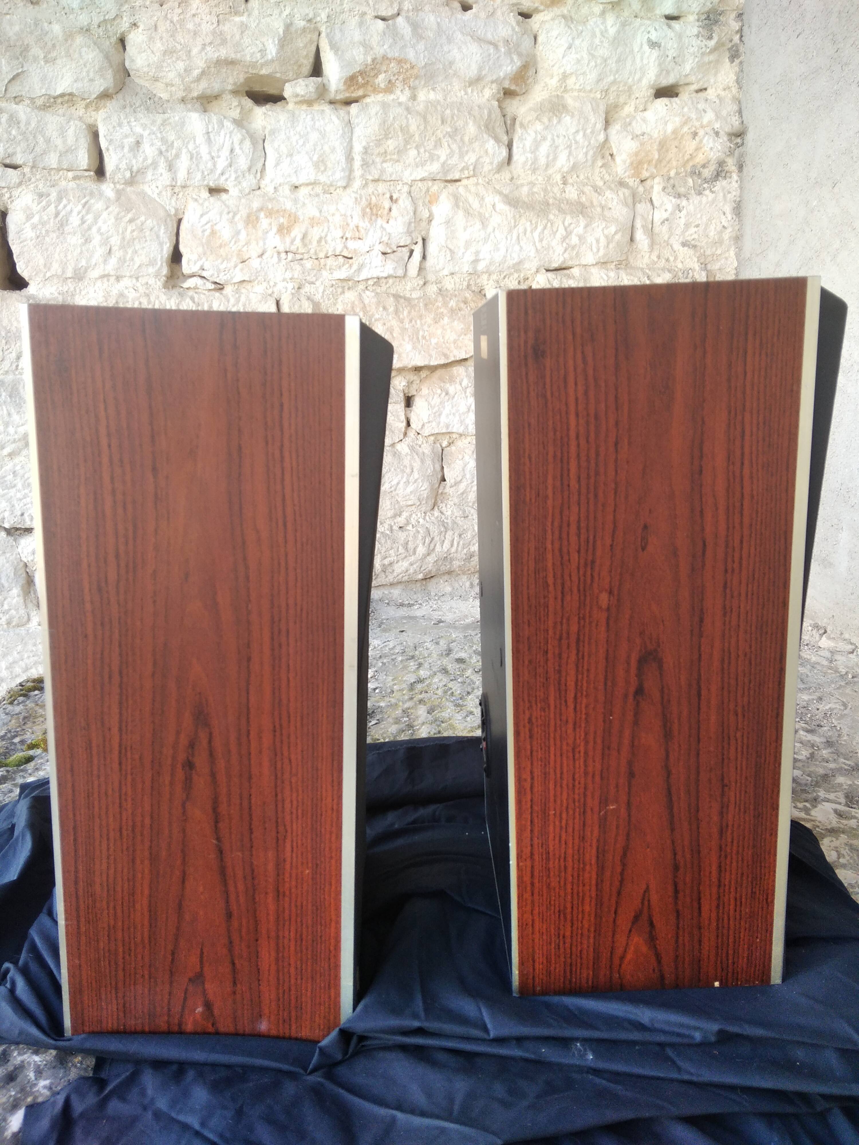 Vintage Bang and Olufsen S45-2 speakers