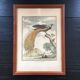 Illustration l’oiseau de paradis