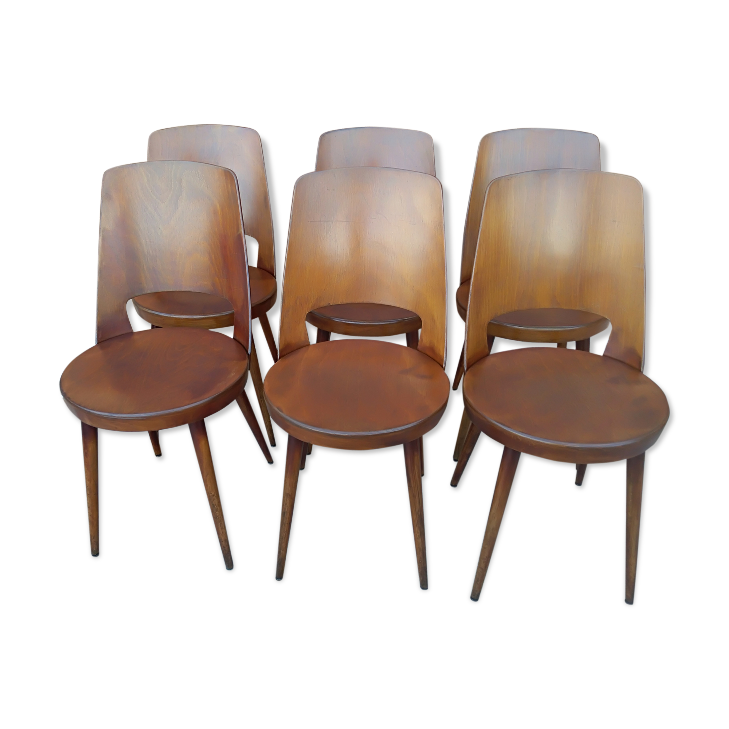Suite of 6 chairs by Bistrot Baumann model Mondor 1960s