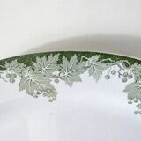 flat oval iron ground PLANE TREE