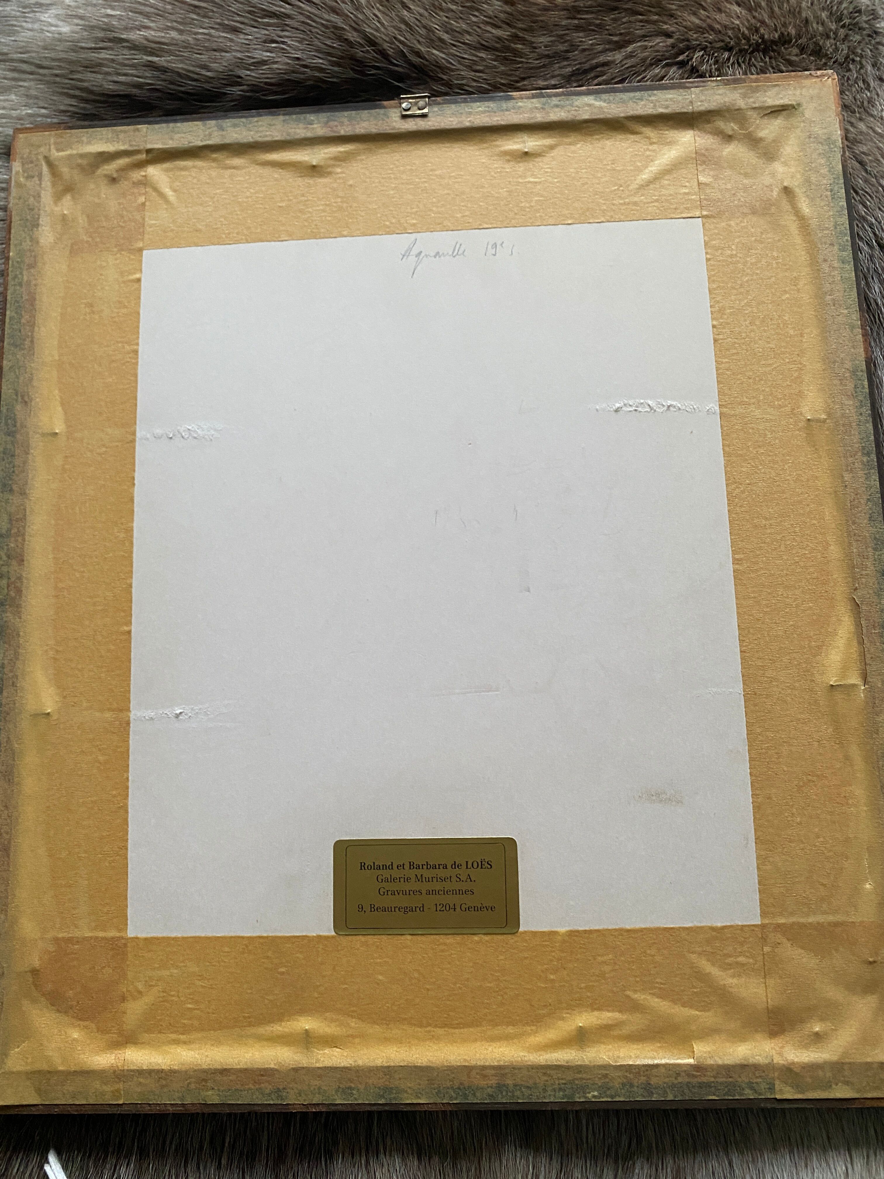 Watercolor "Primroses" XIX