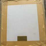 Watercolor "Primroses" XIX