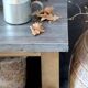 Wooden kitchen island – Raw zinc finish top