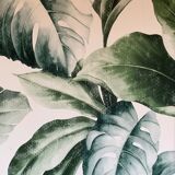 Primary school glass cabinet 1950