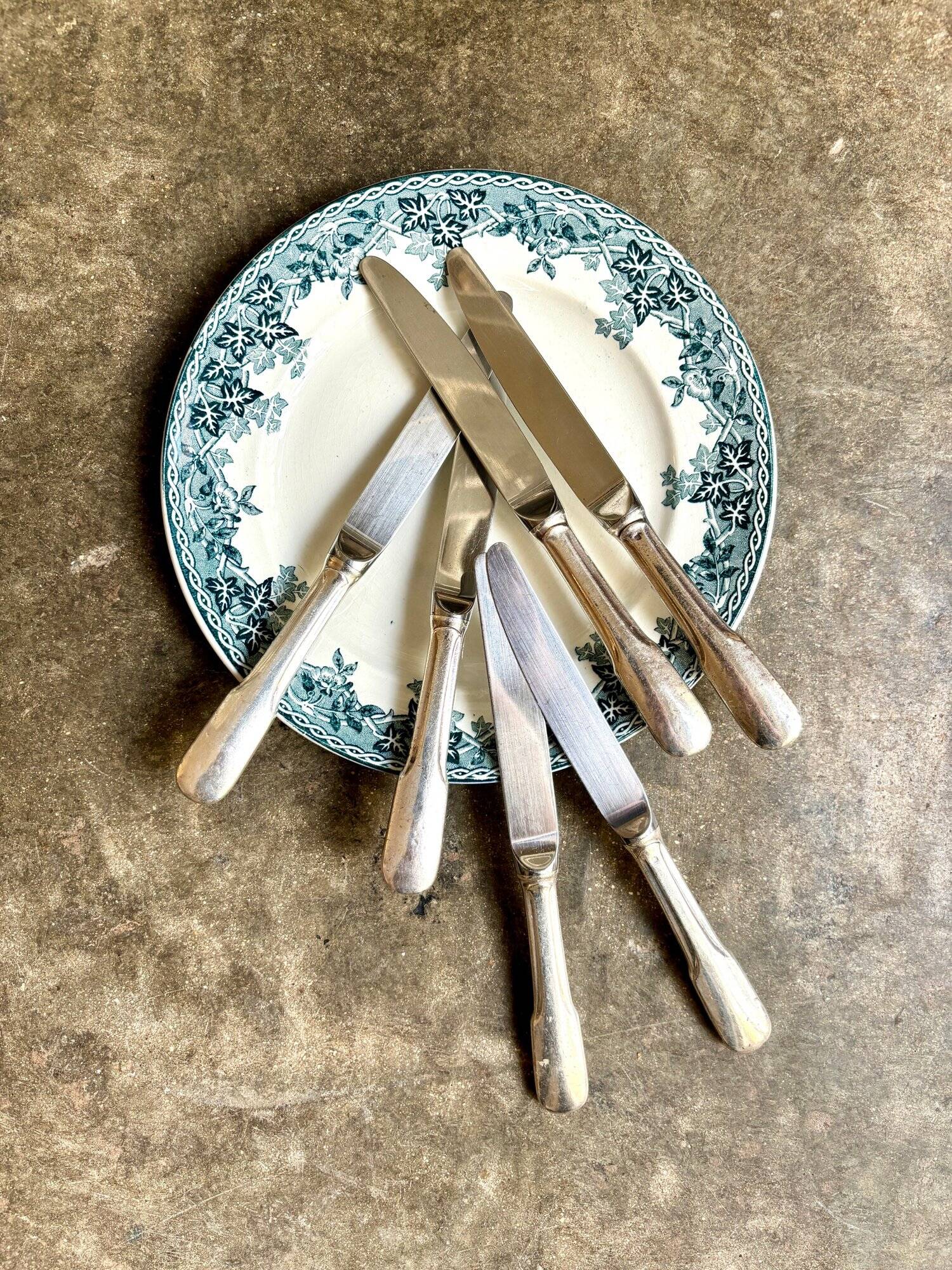 6 Guy Degrenne dessert knives in silver metal