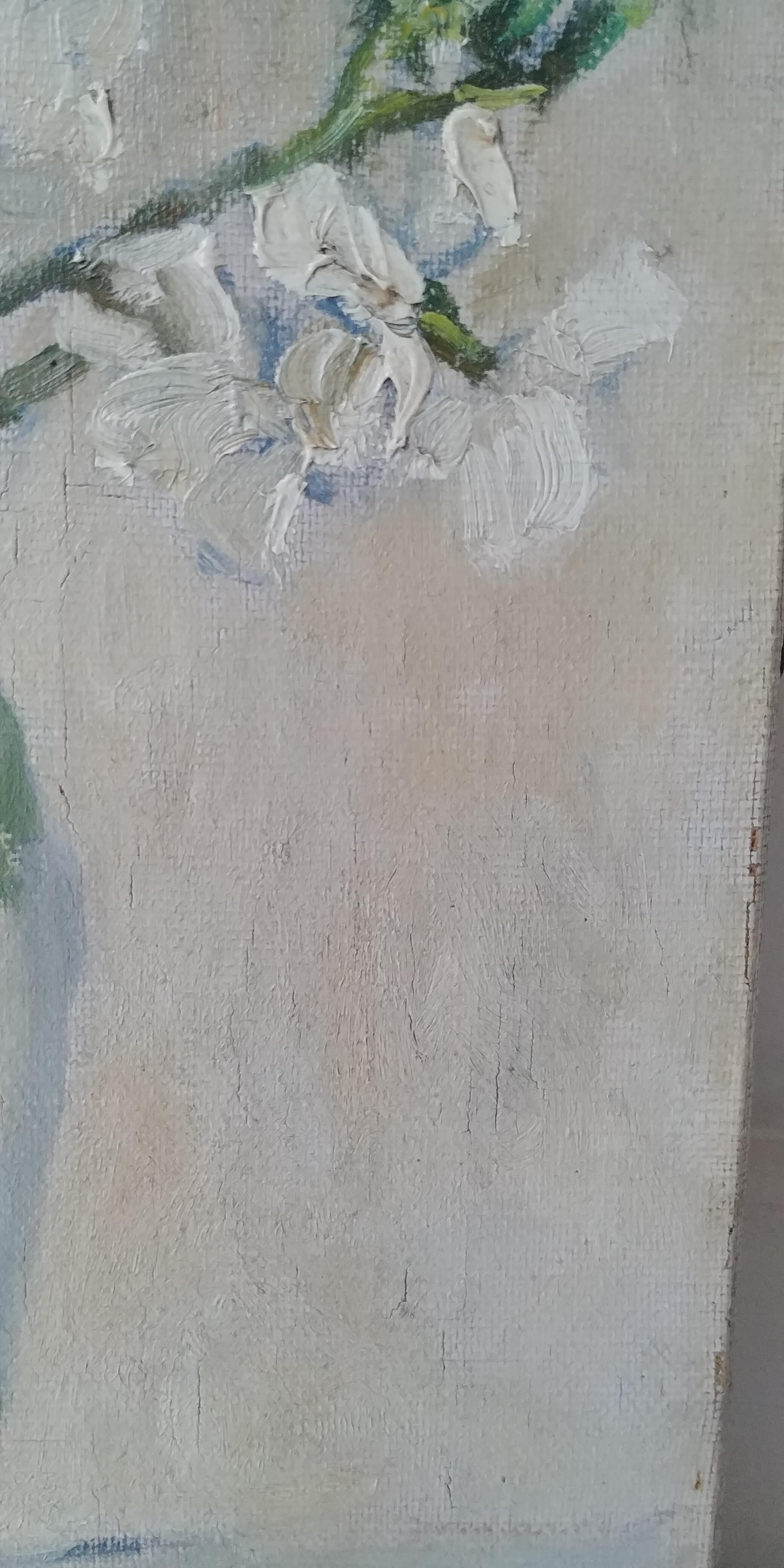 Bouquet de fleurs blanches