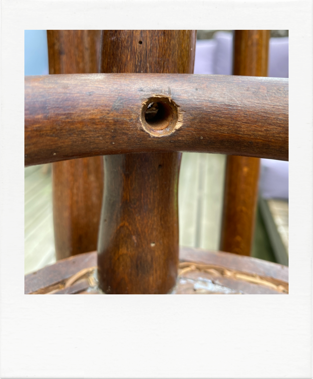 Duo of chairs Thonet bistro