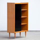 Vintage scandinavian library 1960