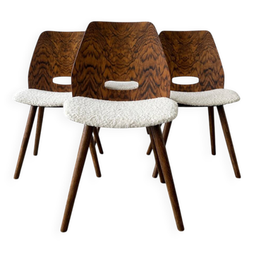 Set of dining chairs 1960s fully renovated