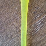 Kosta Boda carafe blue