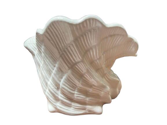 Shell-shaped ceramic vase