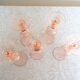 5 rosaline flutes