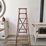 Montana painter's stepladder