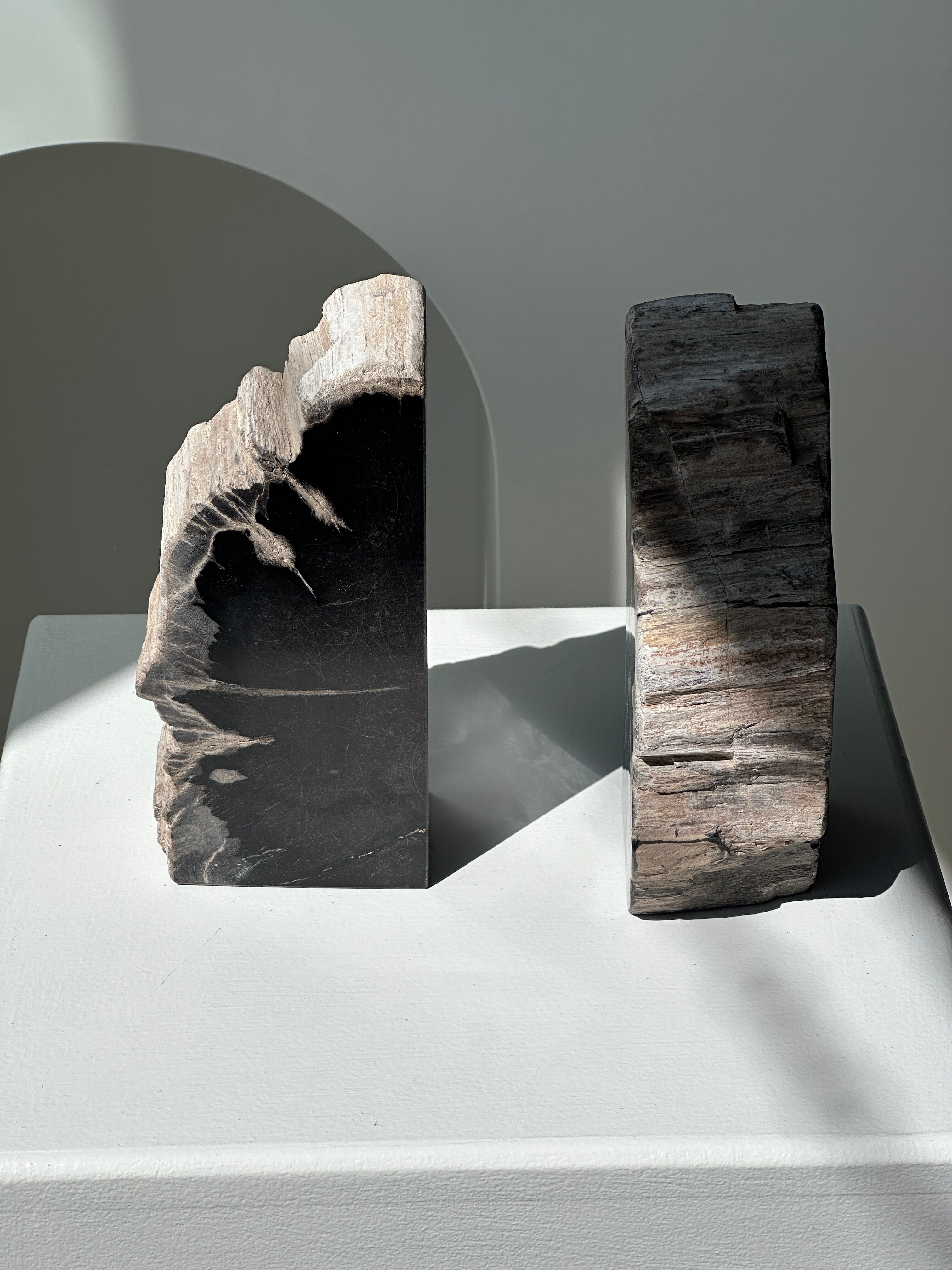 Black petrified wood bookend H17 L17 P6