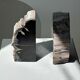 Black petrified wood bookend H17 L17 P6
